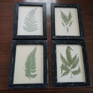 4- wall art ferns